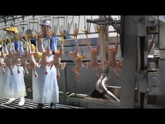 Şekilli bir çırpıcı