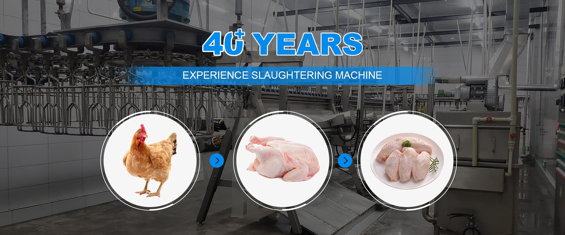Kalite Tavuk Kesim Makinası Fabrika