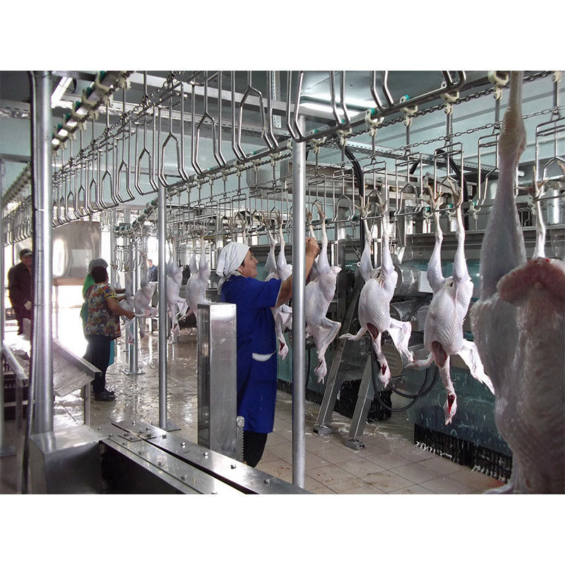 Kalite 304 Paslanmaz Çelik 380V voltajlı ve kolay bakımlı tavuk kesme ekipmanları fabrika
