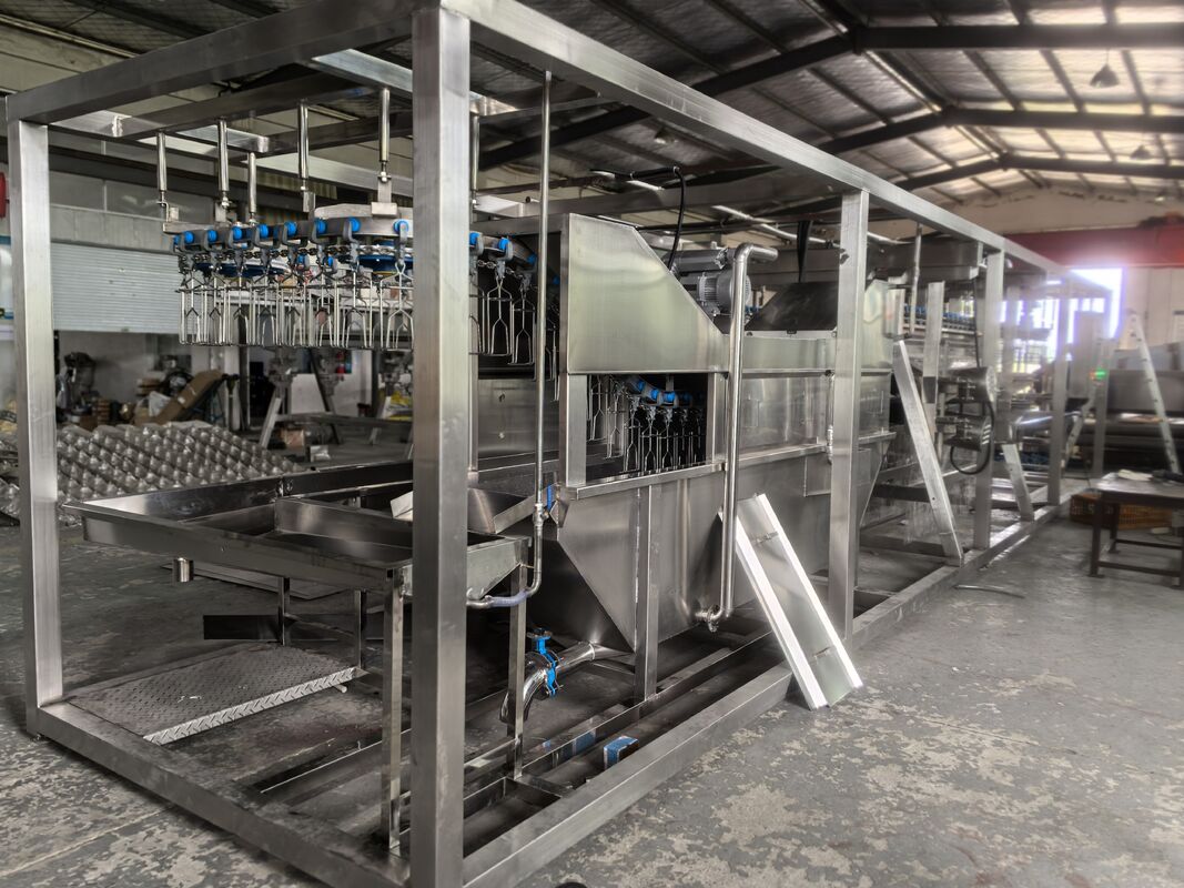Kalite CE Paslanmaz Çelik Ücretsiz Kurulum Otomatik Saatte 1000 Tavuk Fabrika Kompakt Tavuk Kasaplık Makinesi fabrika