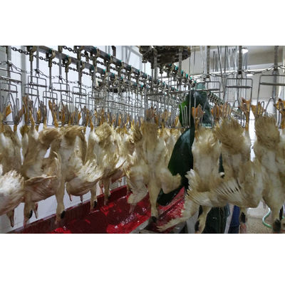 Profesyonel Broiler Tavuk Kasaplık Ekipmanı Özel Kabarık Kasaplık Makinesi