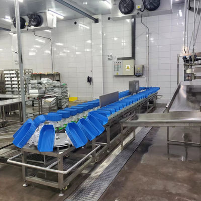 Kalite 500 - 12000BPH Kasaplık Üretimi İçin Tavuk Ağırlığı Sınıflandırma Makinesi fabrika
