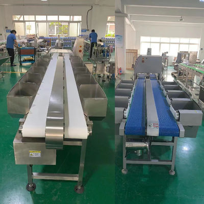 Kalite 1000 - 6000BPH Tavuk Kasaplık Lini için Ağırlık Sortlama Makinesi fabrika
