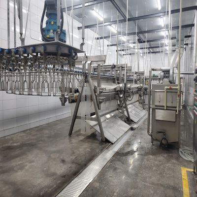 Paslanmaz çelik katliam işleme hattı 500 bph 10000 bph Tavuk katliamı ekipmanları