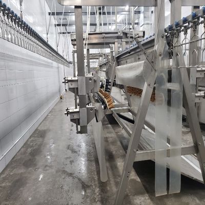 Tavuk Otomatik Kasap Makinesi 500-1000 BPH Tavuk Kasap Liniyası