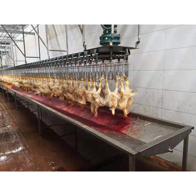4000KG Otomatik Kasap Makinesi Tavuk Tavuk Kasap Lini SS 304