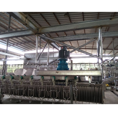 Kalite Paslanmaz çelik Tavuk Kasaplığı Ekipmanları Et İşleme Otomatik fabrika