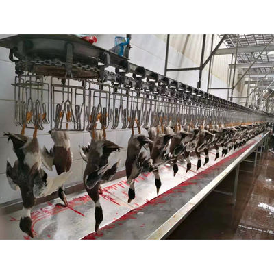 Çeşitli üretim kapasiteleri için paslanmaz çelik tavuk kesim üretim hattı