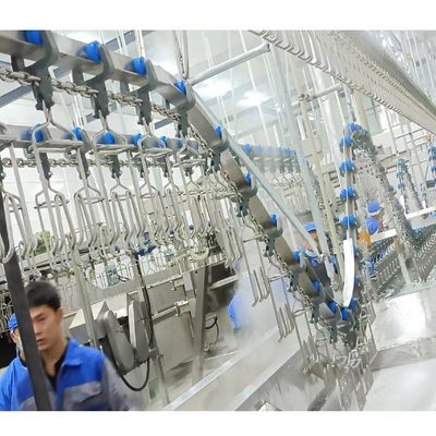 Kalite Paslanmaz Çelik 304 Tavuk Kasaplık Hatı Yerel veya Online Kurulum Seçenekleri fabrika