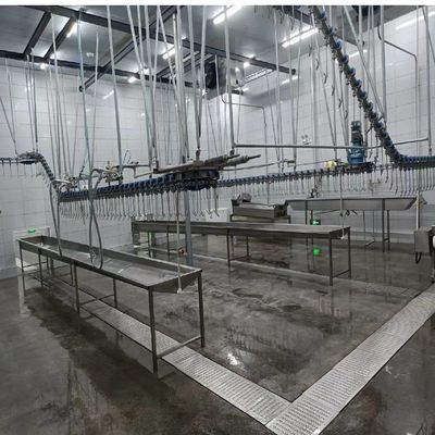 Kalite Paslanmaz Çelik 304 Tavuk Kasaplık Hatı Yerel veya Online Kurulum Seçenekleri fabrika