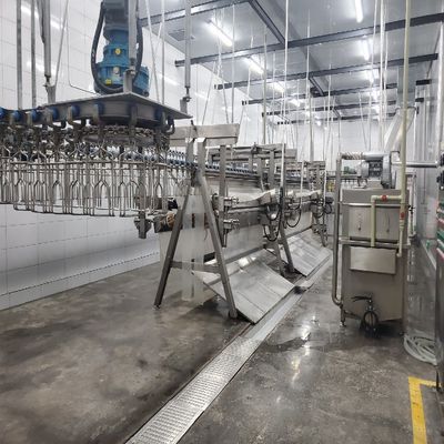 Tavuk Kasap Makinesi Yerel veya Çevrimiçi Montajlı ve Paslanmaz Çelik 304