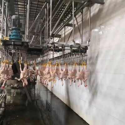 Paslanmaz çelik 304 Türkiye Kasaplık Makinesi Tavuk Kasaplığı Fabrikası Makine