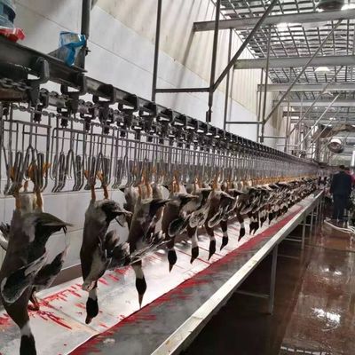 CE Sertifikalı Tavuk Kasaplık Ekipmanı Ördek Tavuk Kasaplık Çubuğu 600KG