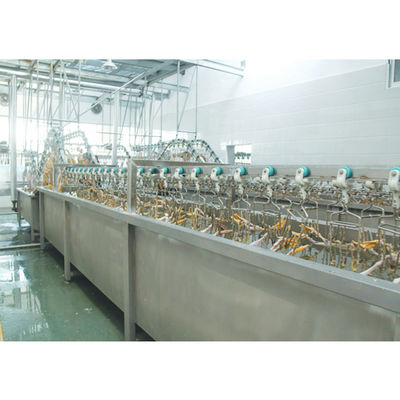 3000BPH Ördek Kasap Makinesi 380V / 220V Tavuk İşleme Ekipmanı