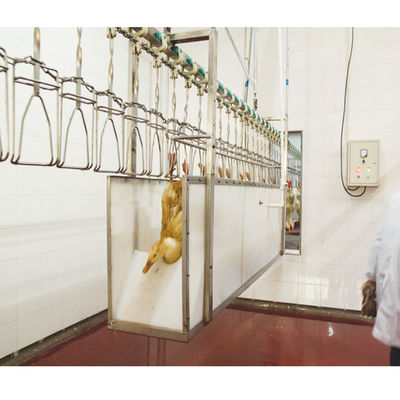 220V / 380V Tavuk Kasaplık İşleme Makinesi Tavuk Ördek Kaz