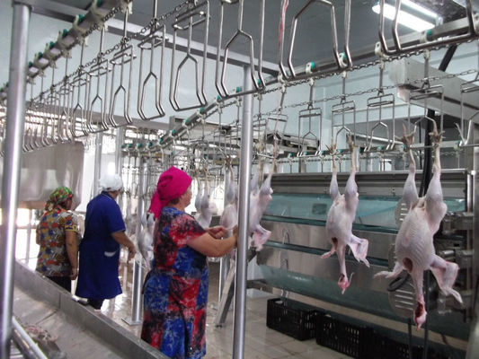 Kalite Özel katliam makinesi için yüksek verimlilikli tavuk kesme ekipmanları fabrika