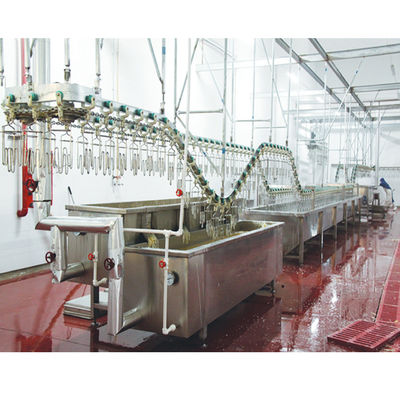 Yüksek Verimlilikli Tavuk Kasaplığı Ekipmanı 220V / 380V Ördek için 200 - 12000BPH
