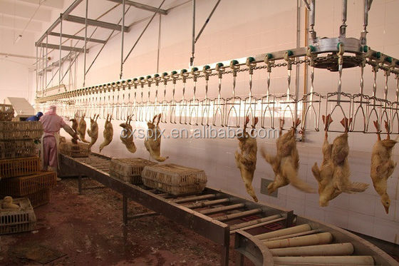 Tavuk Ördek Kaz İşleme Hattı Kesim Makinesi 304 Paslanmaz Çelik 220V