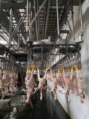 Kalite Halal Tavuk Kasaplık Ekipmanı SS 304 Tavuk Et İşleme Makinesi 400KG fabrika