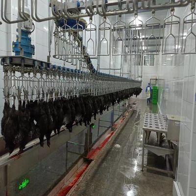 Otomatik Halal Tavuk Kasap Makinesi 500 bph Tavuk Plucking Makinesi