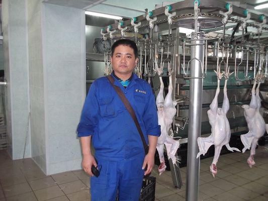 Kalite Verimlilik 500 BPH'lik Plucking Makinesi ile Tavuk Kasırgası Ekipmanı fabrika