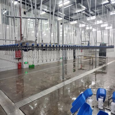 500PCS Otomatik Tavuk Kasaplığı Ekipmanı Paslanmaz Çelik Tavuk yetiştirme hattı
