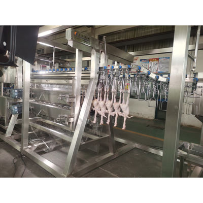 200BPH 300BPH 500BPH Otomatik Öldürme Kesme Kaz Ördek Tavuk Kasaplık Kasaplık İşleme Hatı Makine Sistemi