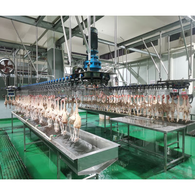 Gıda Dükkanı Tavuk İşleme için Otomatik Halal Tavuk Tavuk Kasap Makinesi