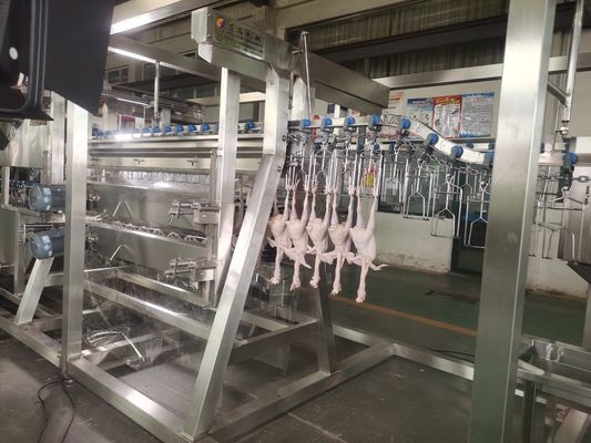 2000 bph Çin Otomatik Tavuk İşleme Tesisi Çelik Çiftlik Tavuk Kasap Liniyasından Yapılmış Yeni Durumlu Kasap Ekipmanı