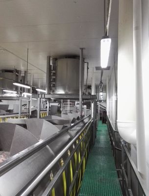 Kalite 15 Ton Bir Gün Paslanmaz Çelik Dondurma Makine Tavuk Kasaplığı İşleme için fabrika