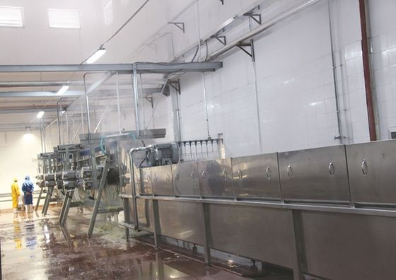 Çiftlikler için elektrikli bayıltıcı tavuk kesme makinesi Tavuk ördek kaz kuş için takım elbise