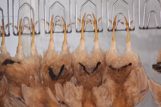 Yüksek verimlilikli Halal Tavuk Kasaplık Ekipmanı Saatte 1000 Kuş için anahtarlı Tavuk İşleme Liniyası