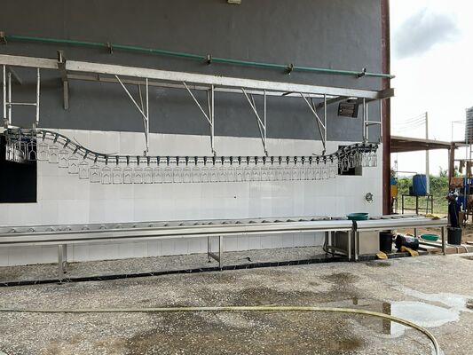 Helal Sertifikalı Yüksek Verimli Anahtar Teslimi Saatlik 1000 Tavukluk Kümes Hayvanı İşleme Hattı